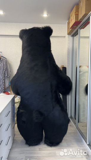 Костюм Черный Медведь 2,5 метра