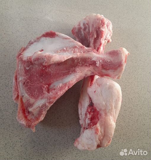 Корма для животных