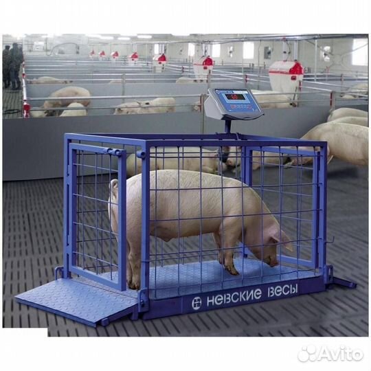 Весы для крс