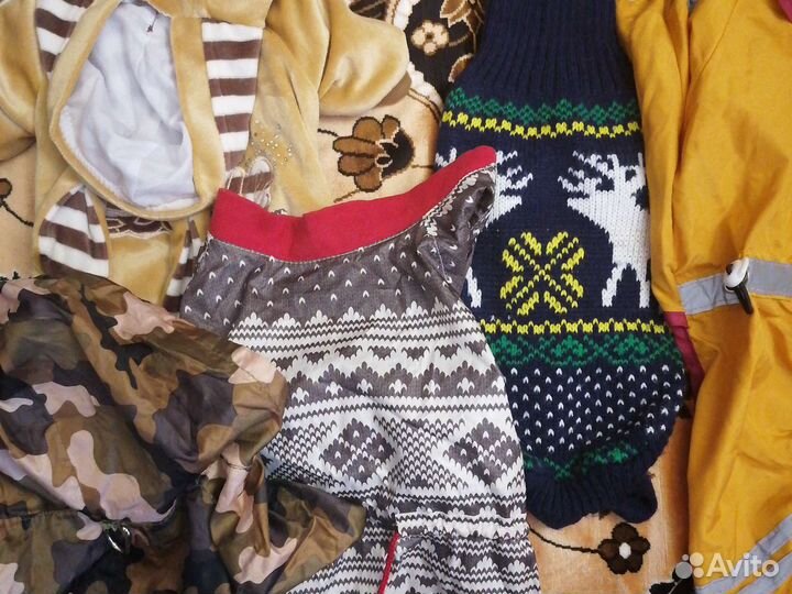 Одежда для маленьких собак