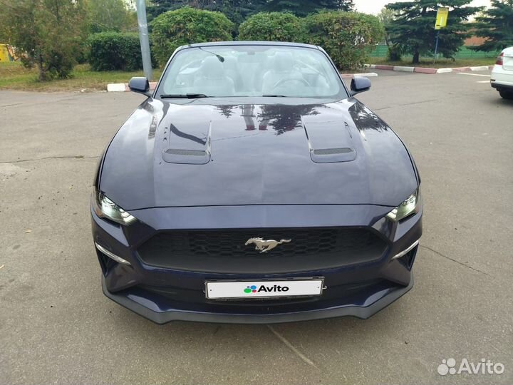 Ford Mustang 2.3 AT, 2019, 51 700 км