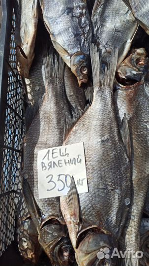 Сорожка (плотва)вяленая с икрой