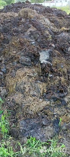 Навоз коровий