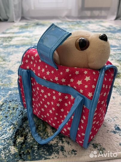 Собачка в сумочке чичилав