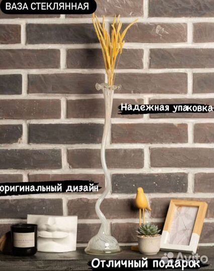 Ваза вельсида