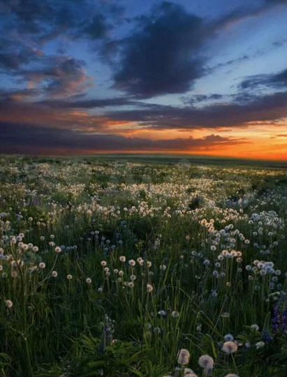 Участок 28 га (СНТ, ДНП)