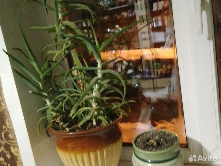 Цветочные горшки,вазы керамика