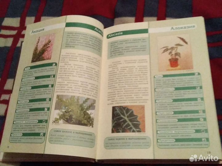 Энциклопедия