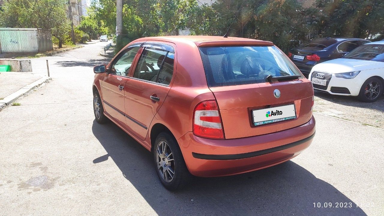 Skoda Fabia: фото владельца