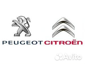 1336Q1 Термостат