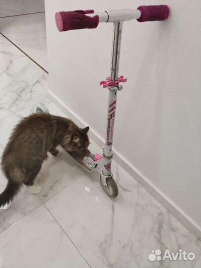 Самокат детский двухколесный Спортмастер