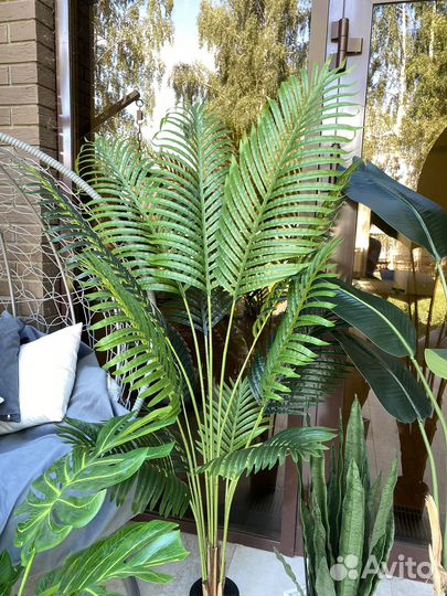 Искусственная пальма