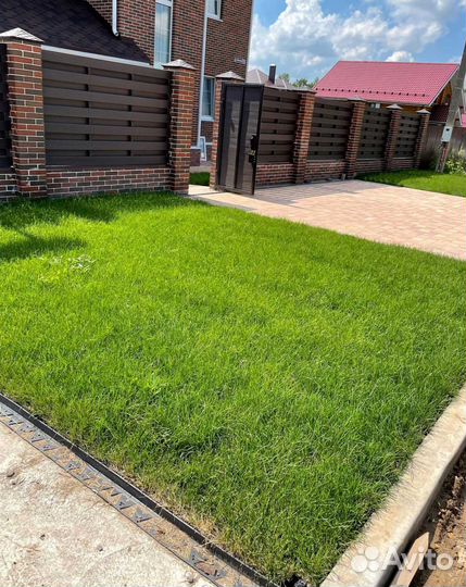 Рулонный газон