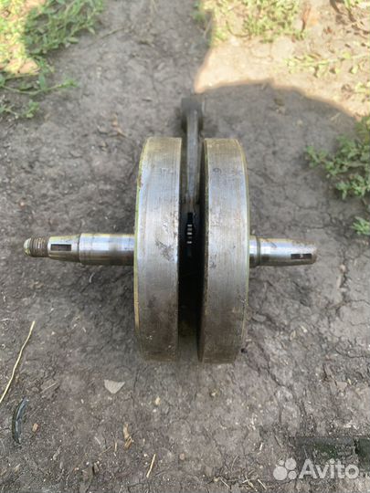 На восход Сова