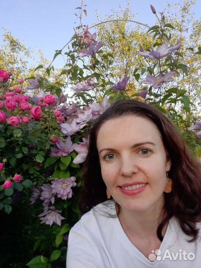 Репетитор английского языка по Скайп