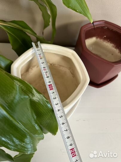 Керамические горшки