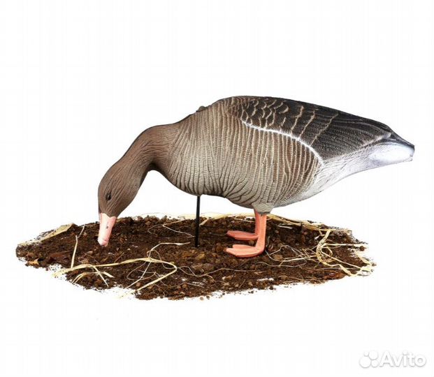 Чучела серых гусей superxpe 3D 10шт