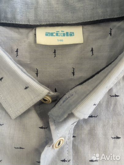 Рубашки школьные 140-146 Бенеттон, Акула