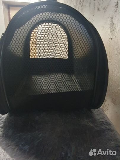 Сумка переноска для кошек