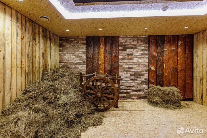 Аренда лофта с караоке