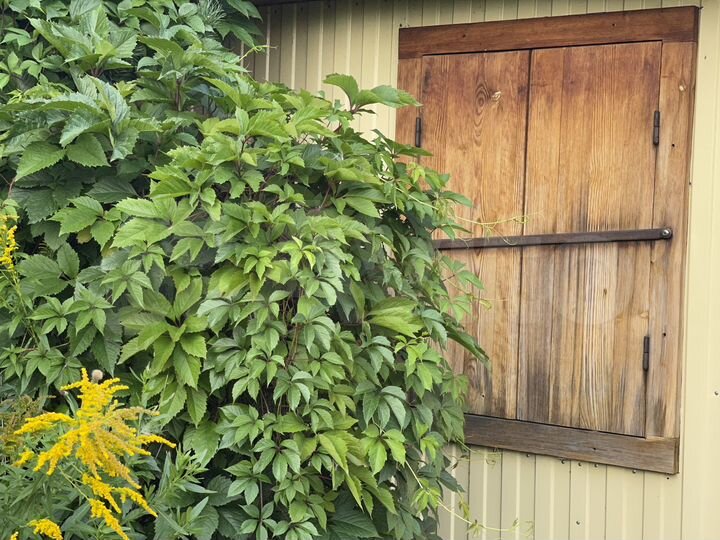 Дача 31 м² на участке 11 сот.