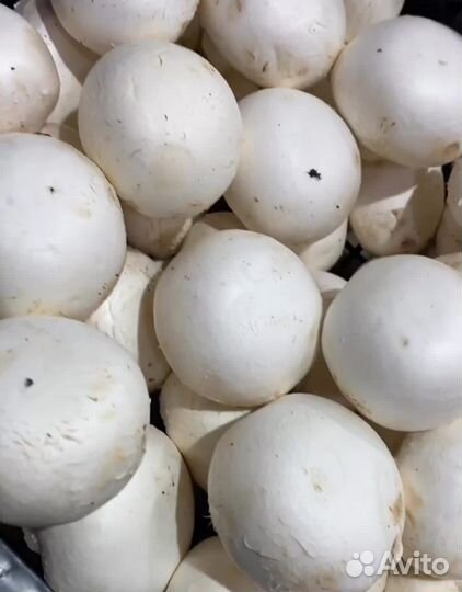 Доставка продуктов питания