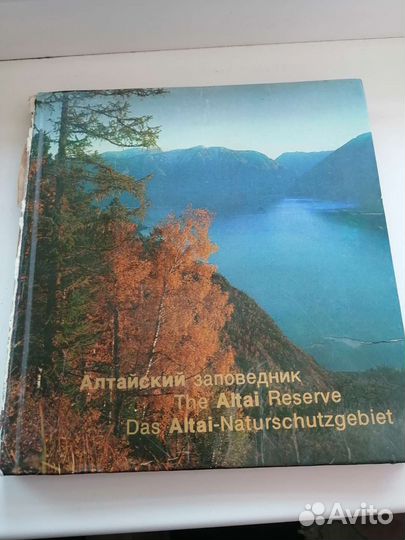 Фотоальбом Алтайский заповедник