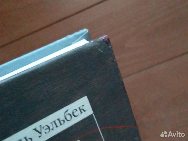 Уэльбек, Элементарные частицы