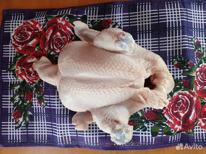 Молоко, масло, творог, сметана, мясо бройлера