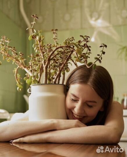 Локация под фотосессии и кино