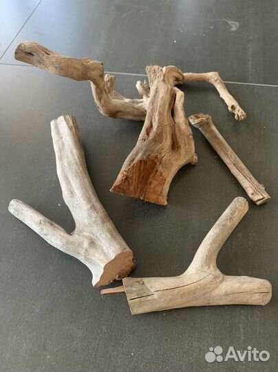 Коряга (азалия) для аквариума