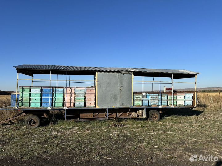 Павильон для пчел обмен