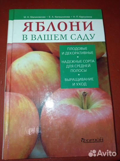Яблони в вашем саду