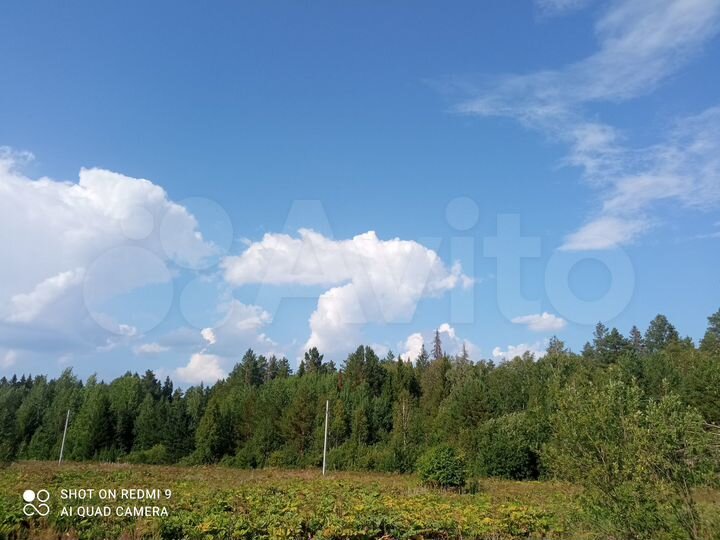 Участок 20 сот. (ИЖС)