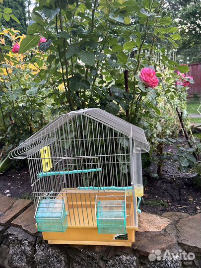 Клетка для попугая