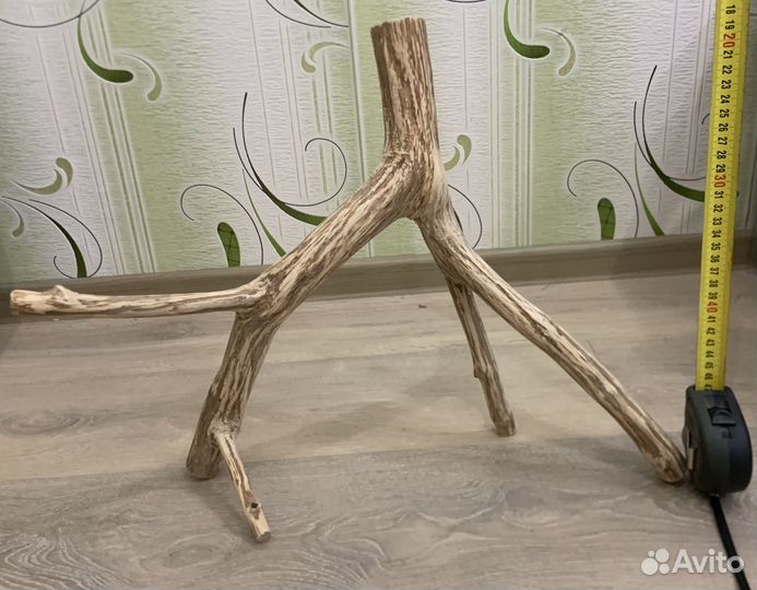 Коряги в аквариум/террариум, ракушечник