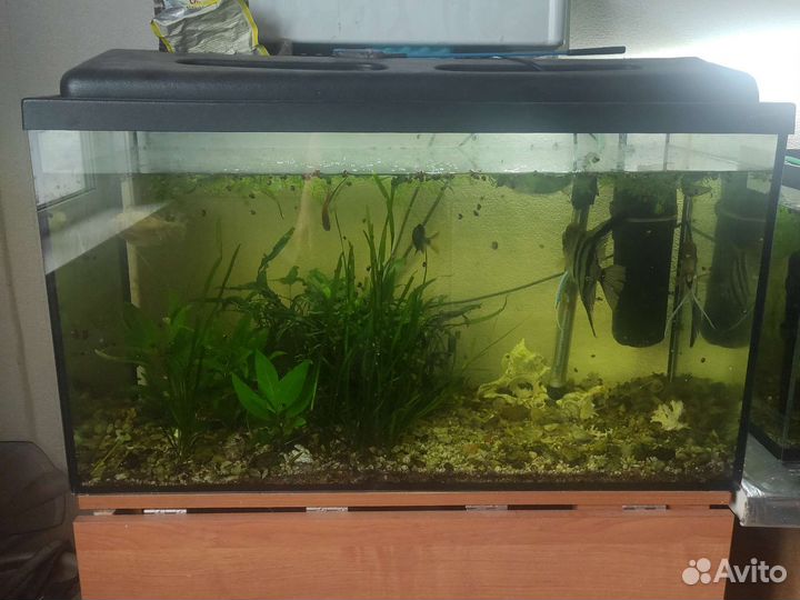 Украшения для аквариума