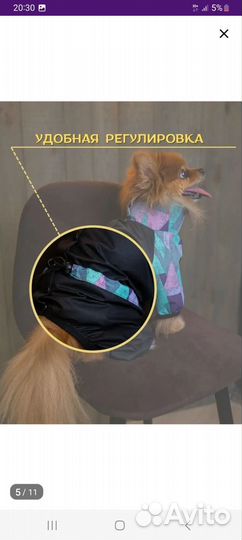 Новый Комбинезон болоневый для собак