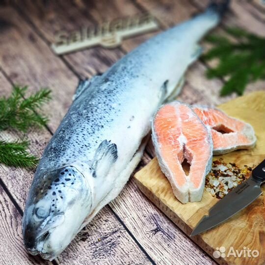 Лосось Семга Чили Premium качества