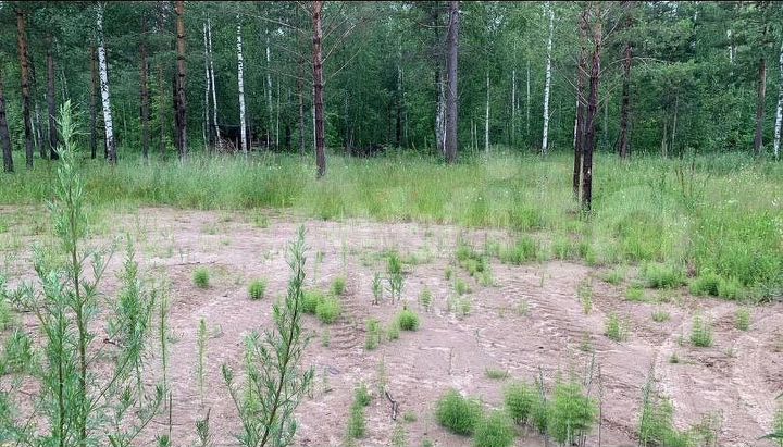 Участок 12,3 сот. (СНТ, ДНП)