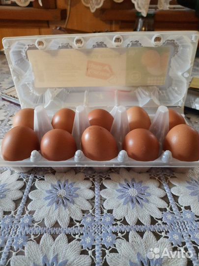 Яйцо куриное, огурцы