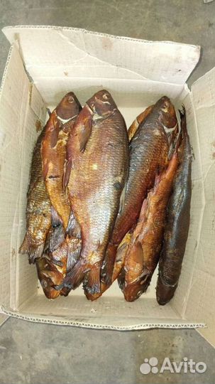 Рыба горячего копчения
