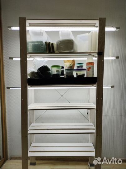 Готовый набор для выращивания микрозелени