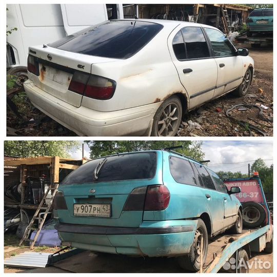 Крышка дверь багажника Nissan Primera p11