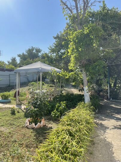 Комната 15 м² в 5-к., 2/2 эт.