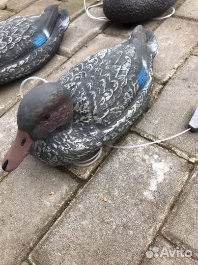 Чучела уток