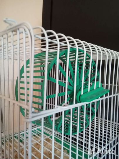 Джунгарский хомяк с клеткой