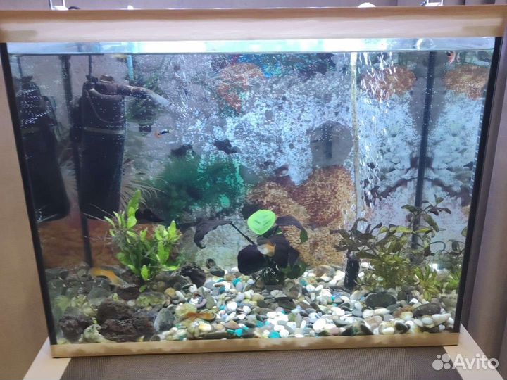 Аквариум