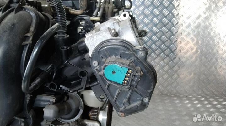 Двигатель aoda Ford Focus 2 (2004-2011)