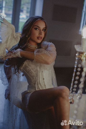 Аренда королевского голубя на фотосессию